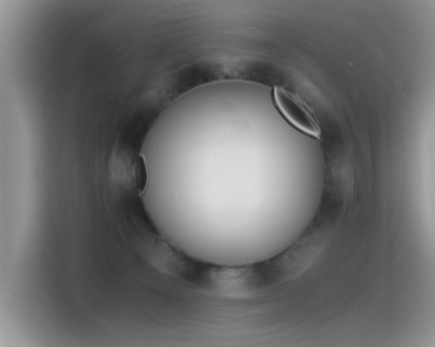 X0000115440129200911121131