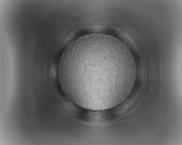 X0000115440131200911121131