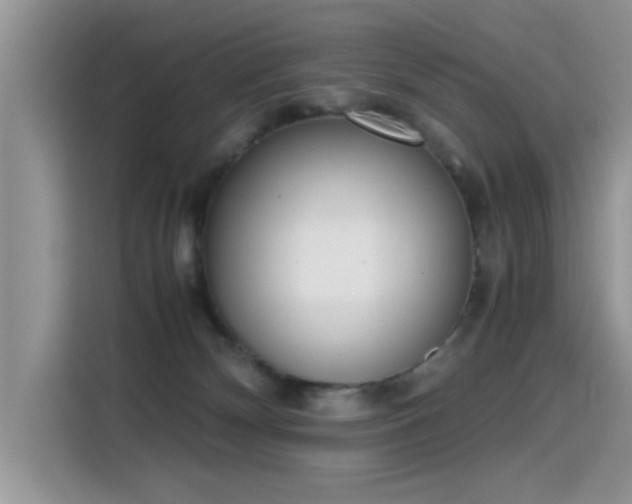 X0000115440132200911121131