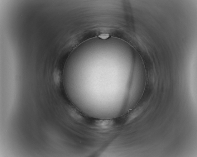 X0000115440135200911121131