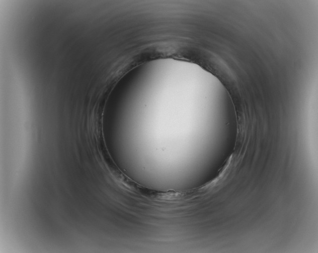 X0000115440136200911121131