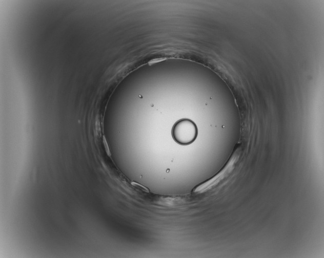 X0000115440137200911121131