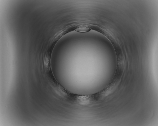 X0000115440139200911121131