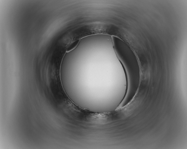 X0000115440140200911121131