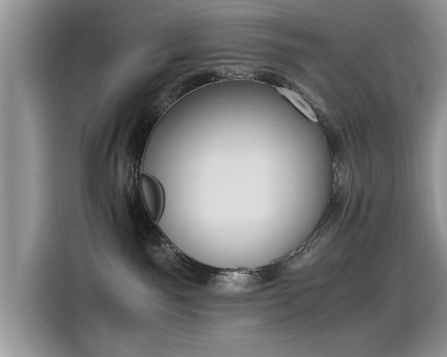 X0000115440141200911121131