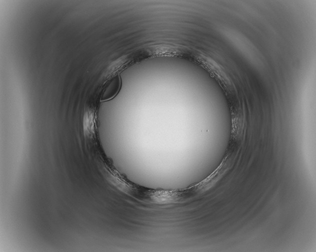 X0000115440142200911121131