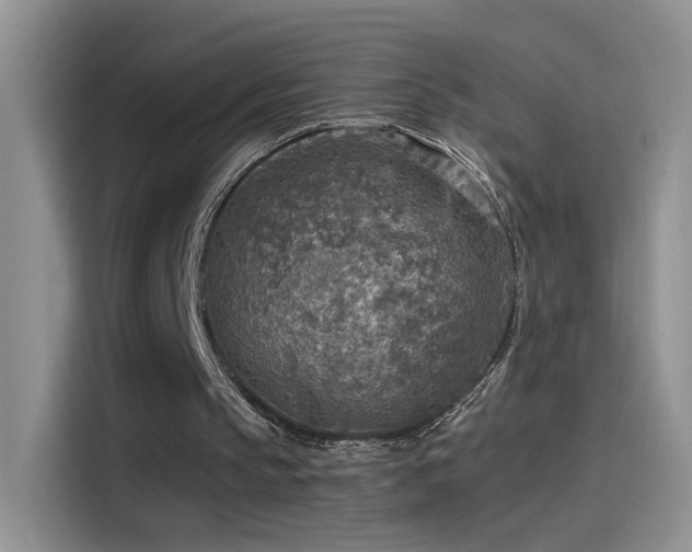 X0000115440145200911121130