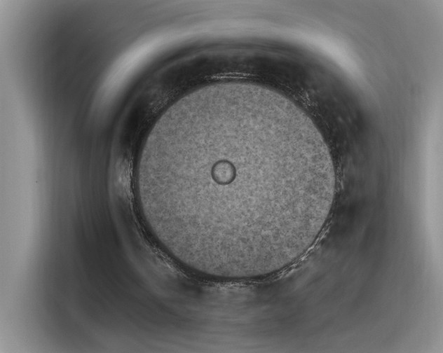X0000115440146200911121130