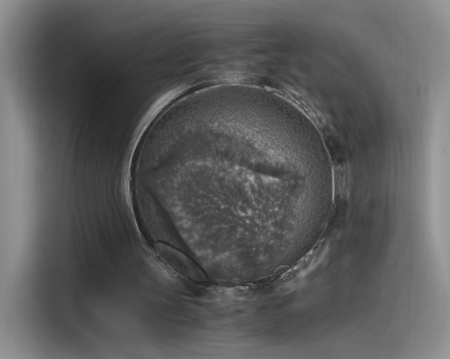 X0000115440147200911121130