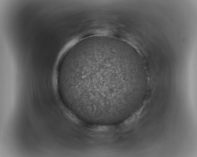 X0000115440149200911121130