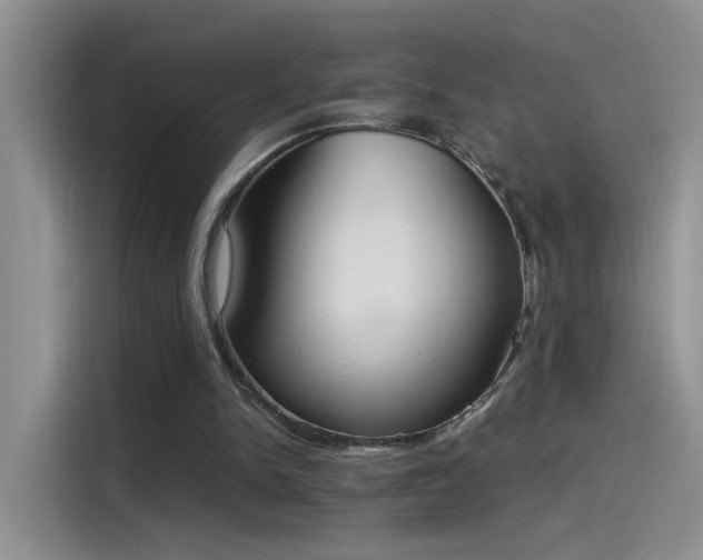 X0000115440150200911121130