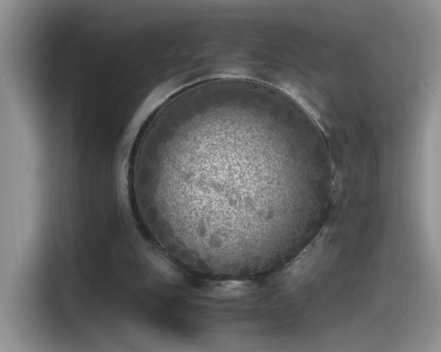 X0000115440151200911121130