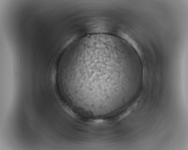 X0000115440153200911121130