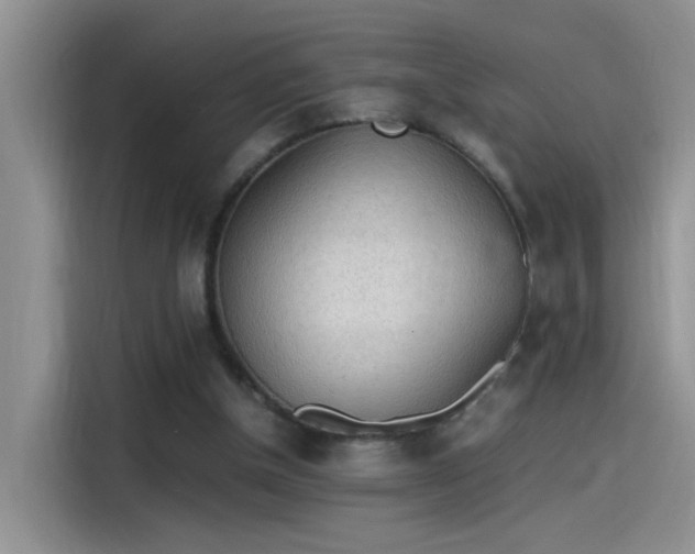 X0000115440154200911121130