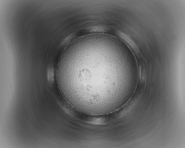 X0000115440157200911121130