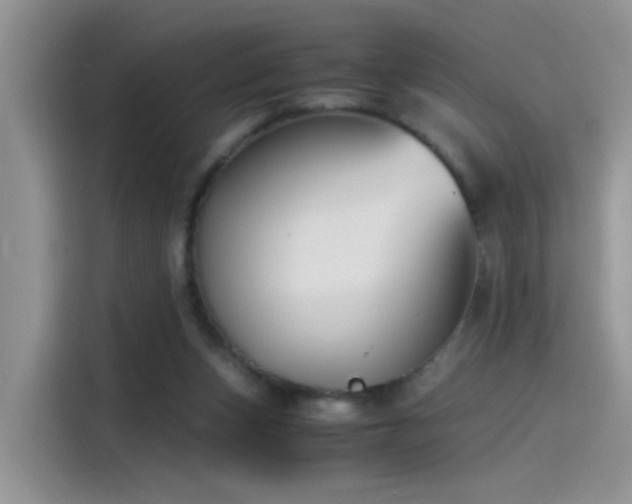 X0000115440159200911121130