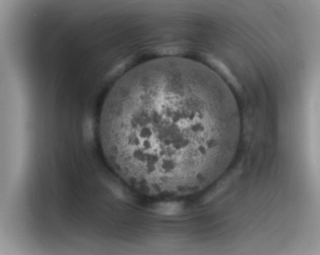 X0000115440161200911121130