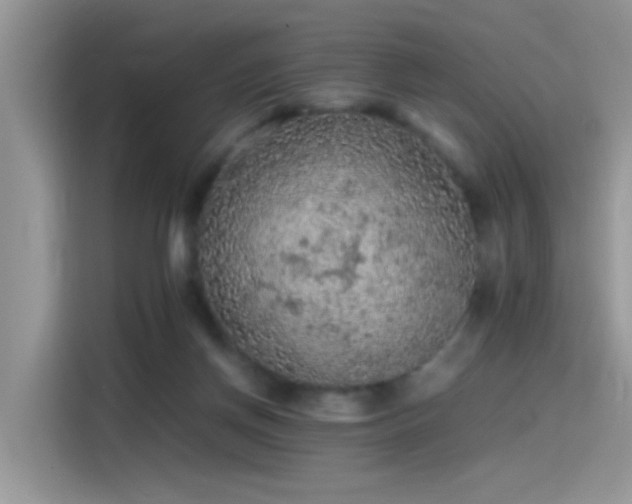 X0000115440166200911121130