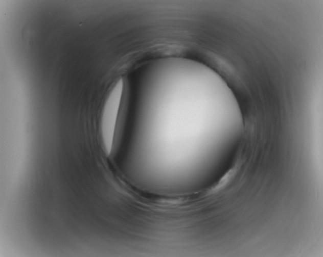 X0000115440170200911121130