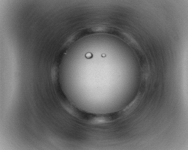 X0000115440171200911121130
