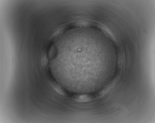 X0000115440173200911121130