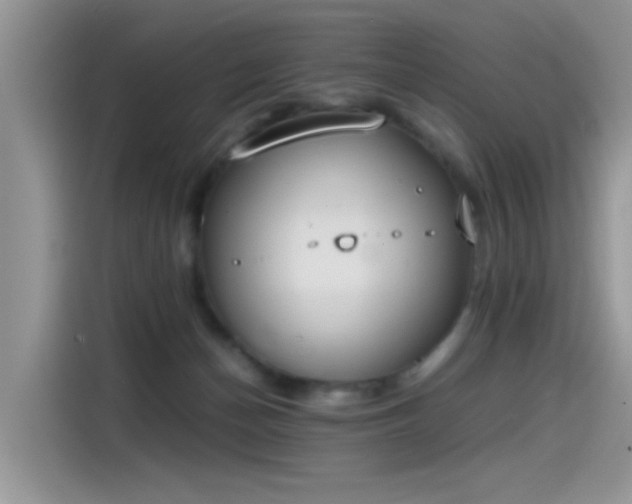 X0000115440174200911121130