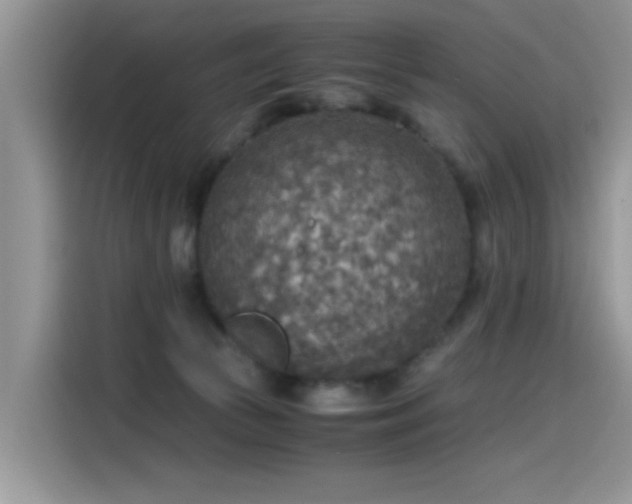 X0000115440177200911121130