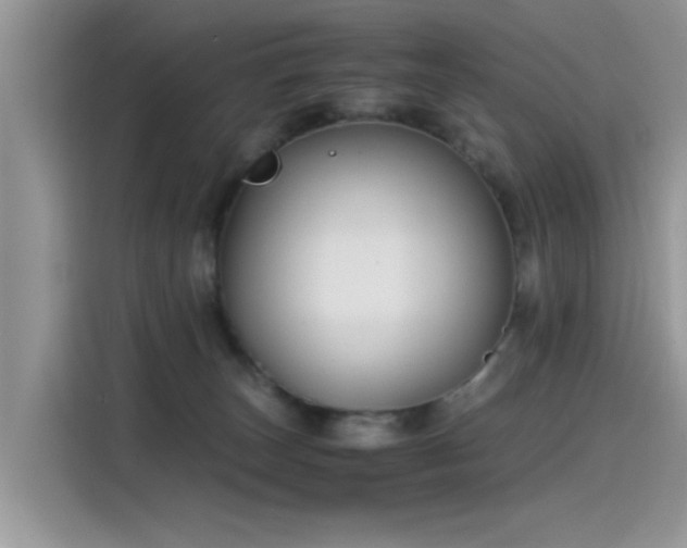 X0000115440179200911121130