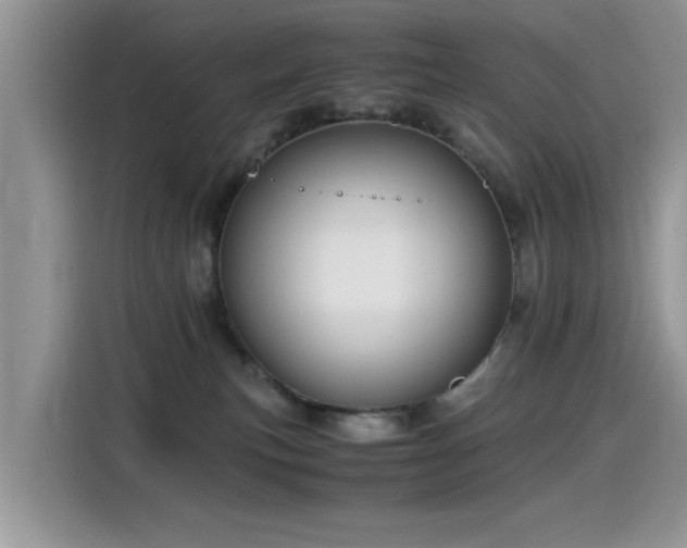 X0000115440183200911121130