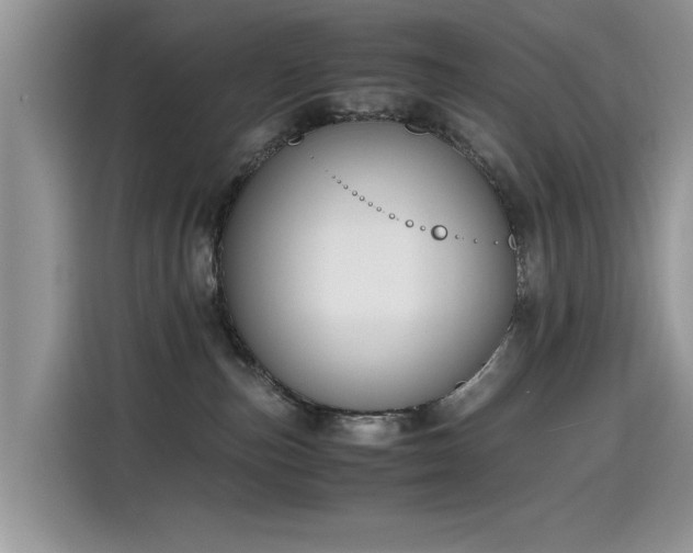 X0000115440187200911121130