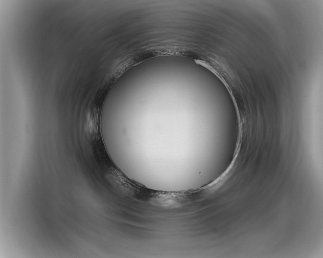 X0000115440190200911121130