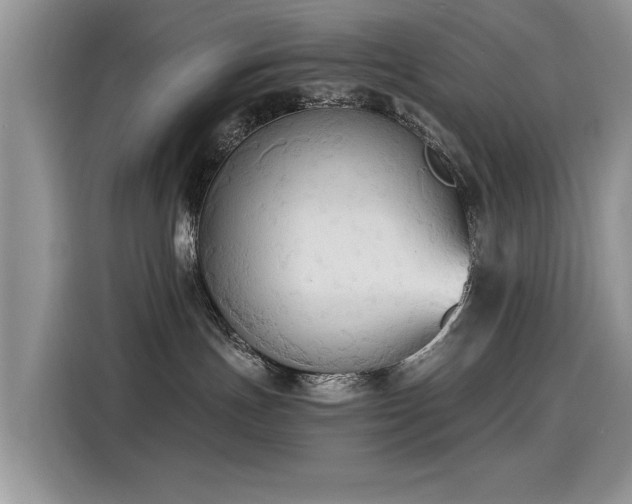 X0000115440191200911121130