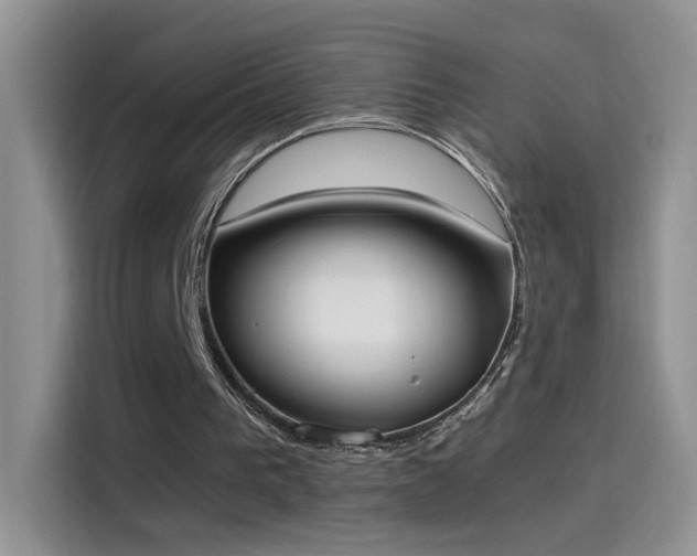 X0000115440193200911121130