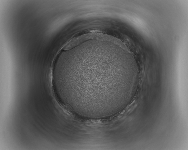 X0000115440194200911121130
