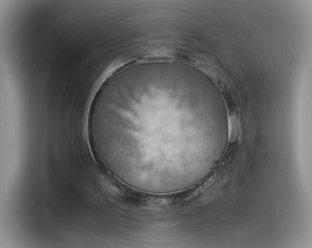 X0000115440195200911121130