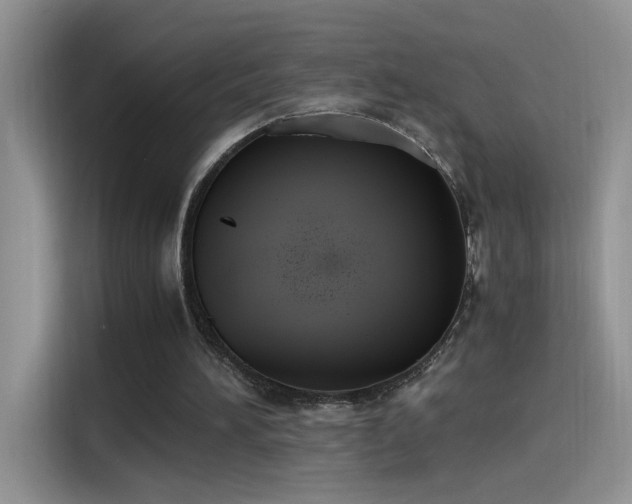 X0000115440196200911121130