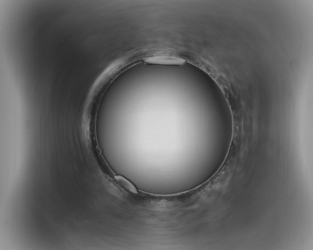X0000115440197200911121130