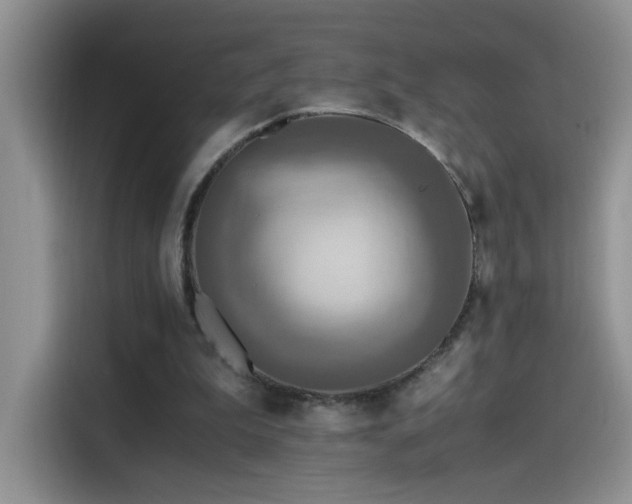 X0000115440199200911121130