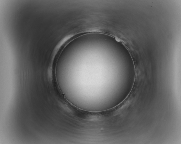 X0000115440200200911121130