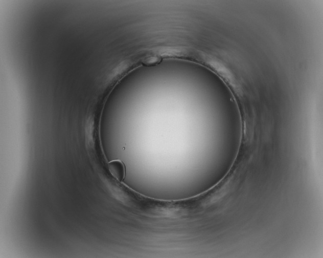 X0000115440201200911121130