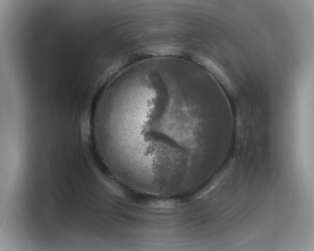 X0000115440202200911121130
