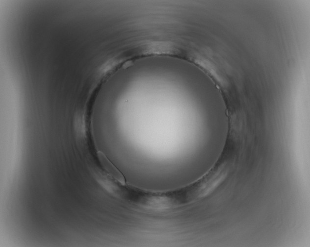 X0000115440203200911121130