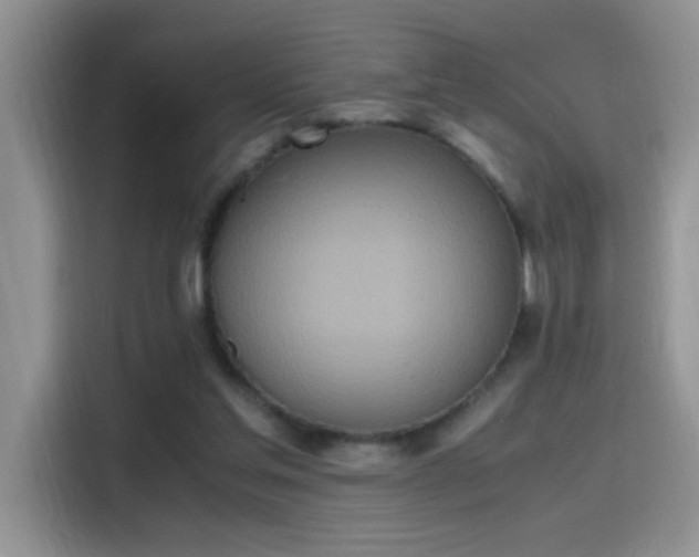 X0000115440205200911121130