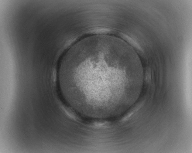 X0000115440206200911121130