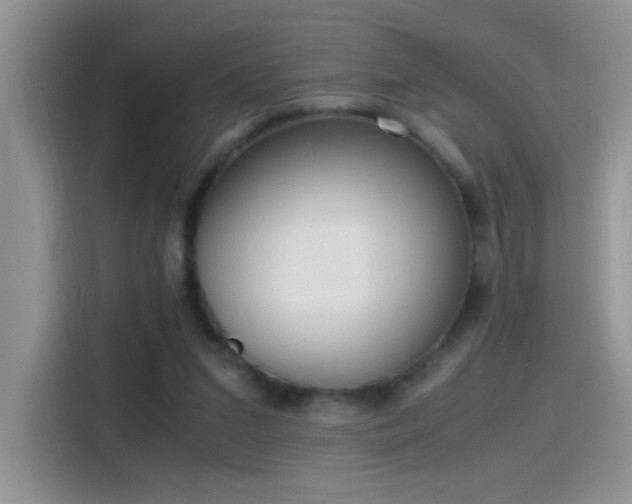 X0000115440207200911121130