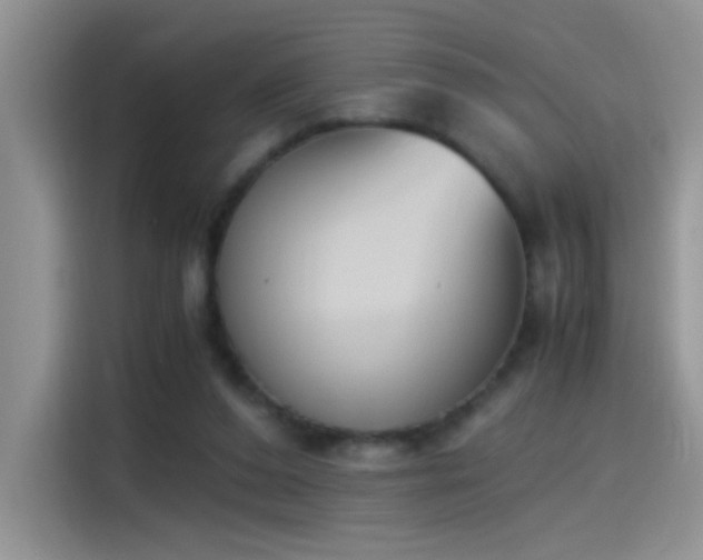 X0000115440208200911121130