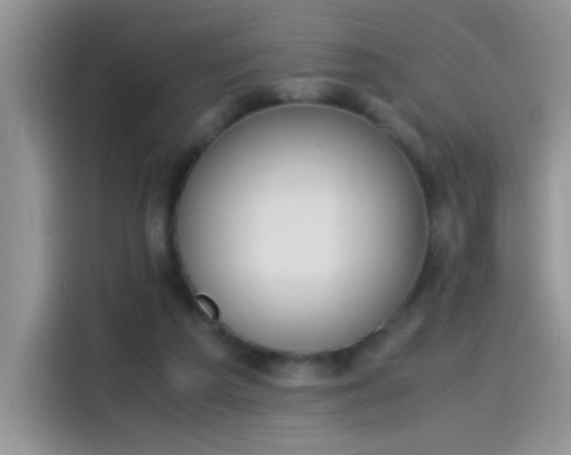 X0000115440209200911121130