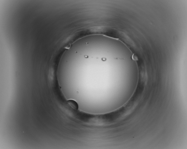 X0000115440211200911121130