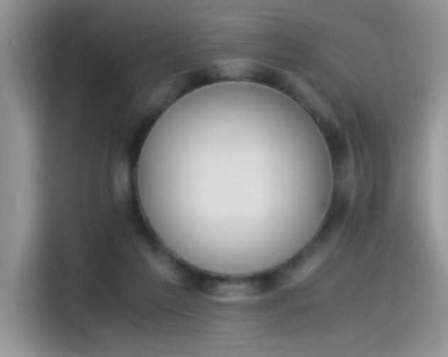 X0000115440213200911121130