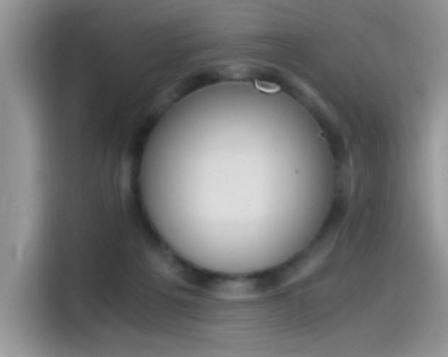 X0000115440217200911121130